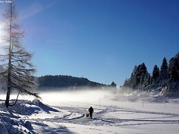 Quiet Chalet in Turracherhöhe with Sauna & Indoor Hot Tub