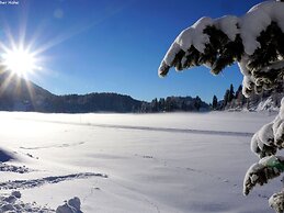 Cozy Apartment near Ski Area in Turracherhohe