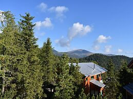 Lovely Chalet in Turracherhohe With Sauna