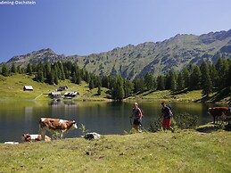 Apartment Near Ski Area in Schladming