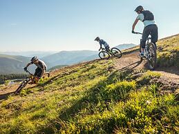 Peaceful Chalet in Turracherhöhe with Indoor Hot Tub