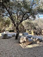 B&B Sa Guardia De Ferricci