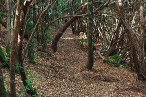 B&B Sa Guardia De Ferricci