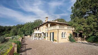 Tenuta il Sassone - Wine & Food