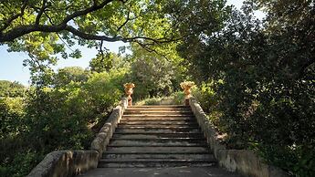 Tenuta il Sassone - Wine & Food