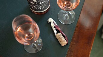 Tenuta il Sassone - Wine & Food