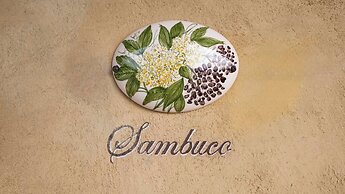 Tenuta il Sassone - Wine & Food