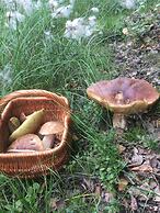 Sangis Motell och Camping AB