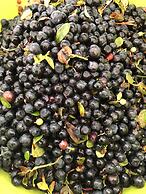 Sangis Motell och Camping AB