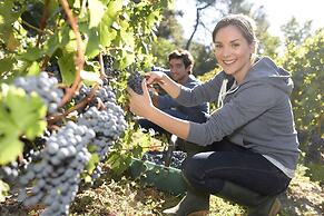 MoselAlpen - schlafen & genießen