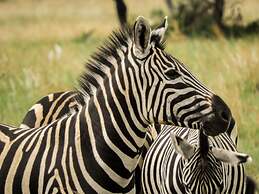 Monateng Safari Lodge