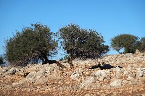 Gorgeous Stone Cottage by the sea