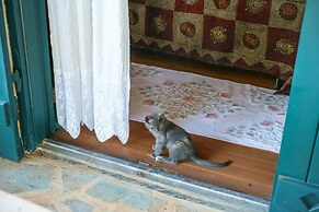 Gorgeous Stone Cottage by the sea