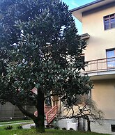 Flatmilan