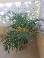 Solet's Paradise Negril