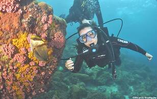 Beach Hostel & Suites Los Pibes de Flores