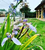 Nossa Casa em Floripa - Hostel