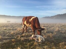 Mohaka River Farm - Campsite
