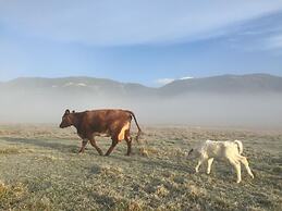 Mohaka River Farm - Campsite