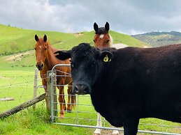 Mohaka River Farm - Campsite