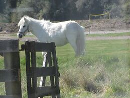 Mohaka River Farm - Campsite