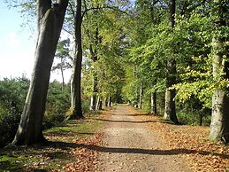Traditional Villa at Bad Bentheim Near Forest