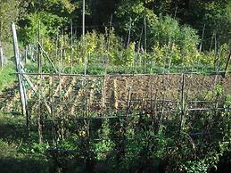 Agriturismo Mamma Chica