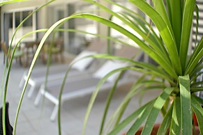 Eden Beach Apartments
