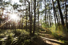 Fischland Ferienhäuser