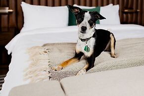 Surety Hotel