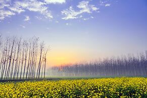 Courtyard by Marriott Amritsar