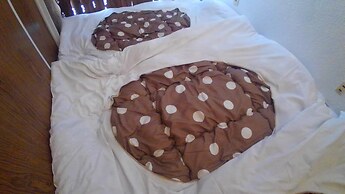 Setouchi Triennale Hotel - Hostel