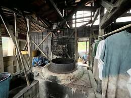 Amami Shimahaku Aikana