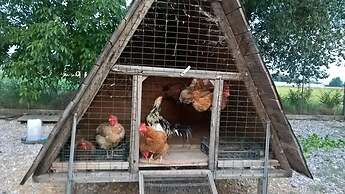 Agriturismo Cipolli e Podò Corte Carlini