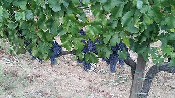 Agriturismo Macinatico 1