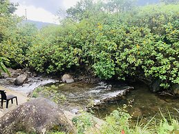 La Casa de Cecilia Mindo