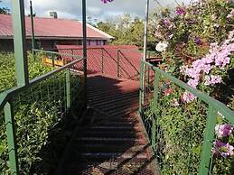 Pensión y Cabinas Colibrí Monteverde B&B