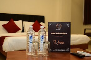 Hotel Ankur Palace
