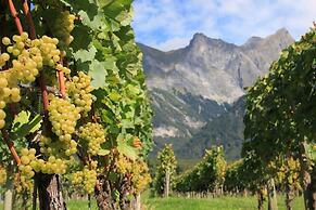 Cubilaris Motel Bad Ragaz