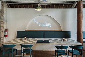 The Sharks Tail Dive Resort