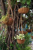 The Sharks Tail Dive Resort