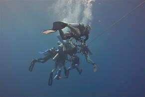 The Sharks Tail Dive Resort
