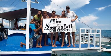 The Sharks Tail Dive Resort
