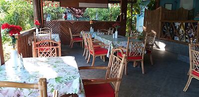 The Sharks Tail Dive Resort