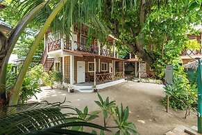 The Sharks Tail Dive Resort