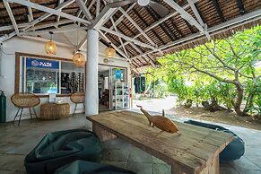 The Sharks Tail Dive Resort