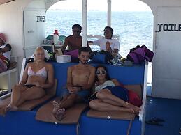 The Sharks Tail Dive Resort