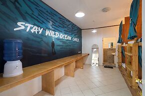 The Sharks Tail Dive Resort