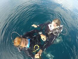 The Sharks Tail Dive Resort