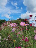 Paju Gamaksan Pension